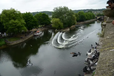 DSC_2556 (Large).JPG